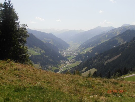 P8220048