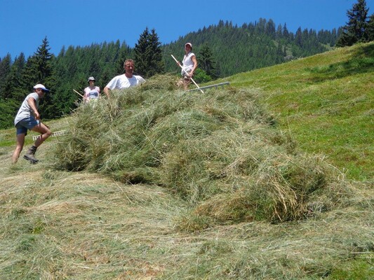 bei der Heuernte