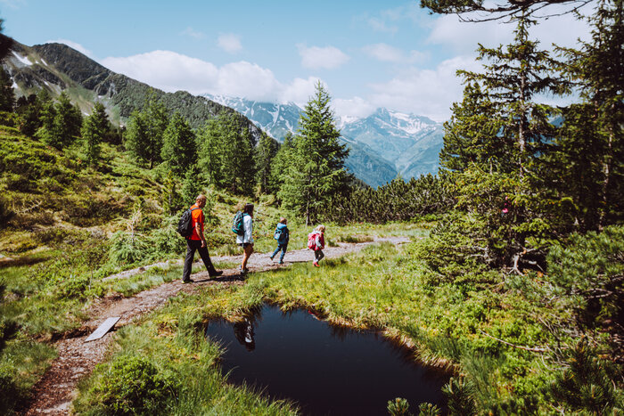 Family hike on the Zirbenweg trail with mountain view | © SalzburgerLand Tourismus, Cebulec Family hiking the Zirbenweg trail past a small pond with views of snow-covered peaks and lush alpine forest | © SalzburgerLand Tourismus, Cebulec