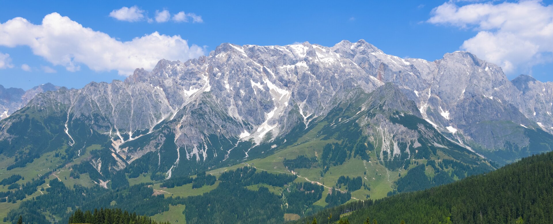 Vier Wanderer steigen bei Sonnenschein über blühende Almwiese mit Panoramablick auf das imposante Hochkönigmassiv