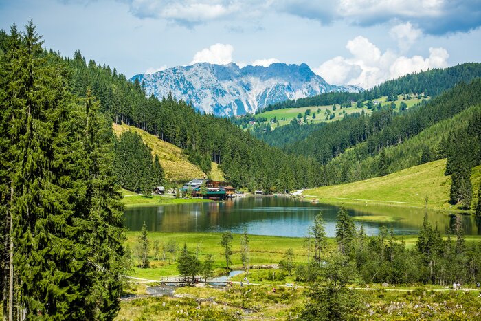 Lake Steirischer Bodensee with forest and mountain view | © René Eduard Perhab View of Lake Steirischer Bodensee with surrounding forest, green hills and striking mountain range in the background | © René Eduard Perhab