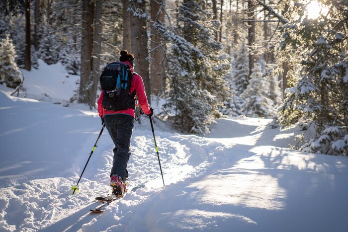 Skitour Graukogel Wald | © Gasteinertal Tourismus GmbH, Christoph Oberschneider Skitour Graukogel Wald | © Gasteinertal Tourismus GmbH, Christoph Oberschneider