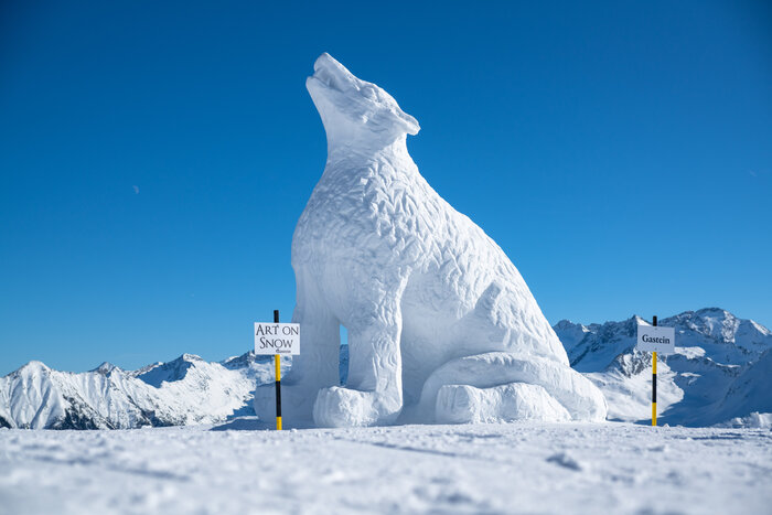 Art on Snow Wolf | © Gasteinertal Tourismus GmbH, Christoph Oberschneider Art on Snow Wolf | © Gasteinertal Tourismus GmbH, Christoph Oberschneider
